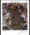 000 Lytle Cove Road - Photo 3