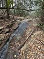 000 Lytle Cove Road - Photo 32
