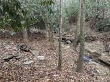000 Lytle Cove Road - Photo 9
