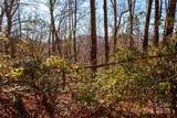 Lot 18 Joshua Road - Photo 4