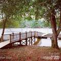 200 Settings Boulevard - Photo 19