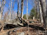 00 Chattooga Run - Photo 8