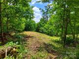 0 Bear Cliff Way - Photo 12