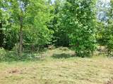 0 Bear Cliff Way - Photo 10
