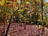 1.85 acres, Lot 925 High Valley Way - Photo 4