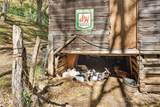 3942 Anderson Branch Road - Photo 38