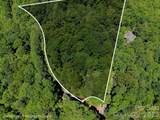 99999 Black Bear Ridge Trail - Photo 11