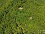 99999 Black Bear Ridge Trail - Photo 13