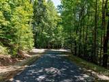 99999 Black Bear Ridge Trail - Photo 4