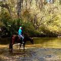 1.3 acres, Lot 2A, 1 Round Mountain Parkway - Photo 45
