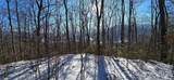 Lot 11 Bernies Trail - Photo 2