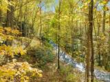 99999 Lytle Cove Road - Photo 4