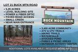 TBD Buck Mountain Road - Photo 1