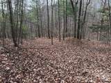TBD Buck Mountain Road - Photo 11