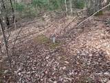 TBD Buck Mountain Road - Photo 13