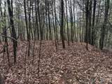 TBD Buck Mountain Road - Photo 14