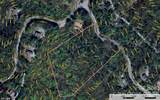 TBD Buck Mountain Road - Photo 22