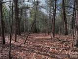TBD Buck Mountain Road - Photo 7