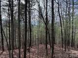 TBD Buck Mountain Road - Photo 8