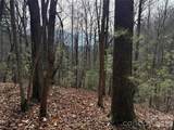 TBD Buck Mountain Road - Photo 9
