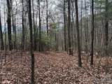 TBD Buck Mountain Road - Photo 10