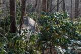 Lot 26 Big Branch Road - Photo 18