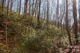 Lot 26 Big Branch Road - Photo 10