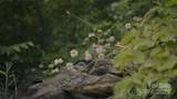 00 Dobbin Road - Photo 31