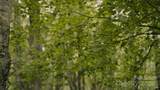 00 Dobbin Road - Photo 33
