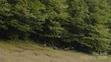 00 Dobbin Road - Photo 35