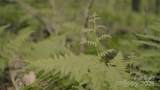00 Dobbin Road - Photo 36