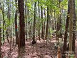 Lot 8 Sc Hwy 215 South - Photo 19