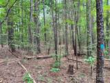 Lot 8 Sc Hwy 215 South - Photo 21