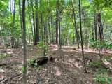 Lot 8 Sc Hwy 215 South - Photo 23