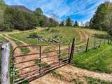 1567 Newfound Road - Photo 11
