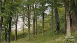 00 Dobbin Road - Photo 32
