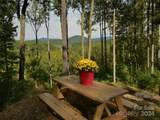6 French Broad Overlook - Photo 17
