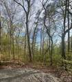 99999 Buffalo Trail - Photo 7