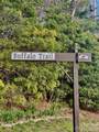 99999 Buffalo Trail - Photo 3