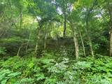 0000 Big Laurel Road - Photo 3