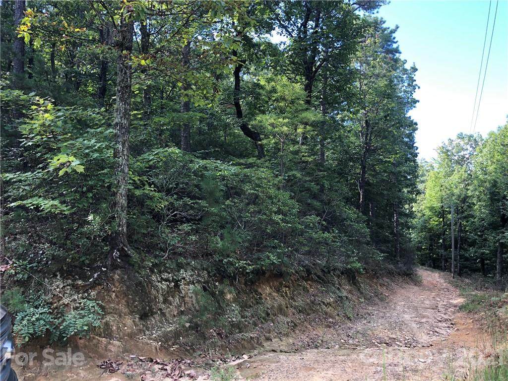 000 Gowings Knob Road - Photo 1