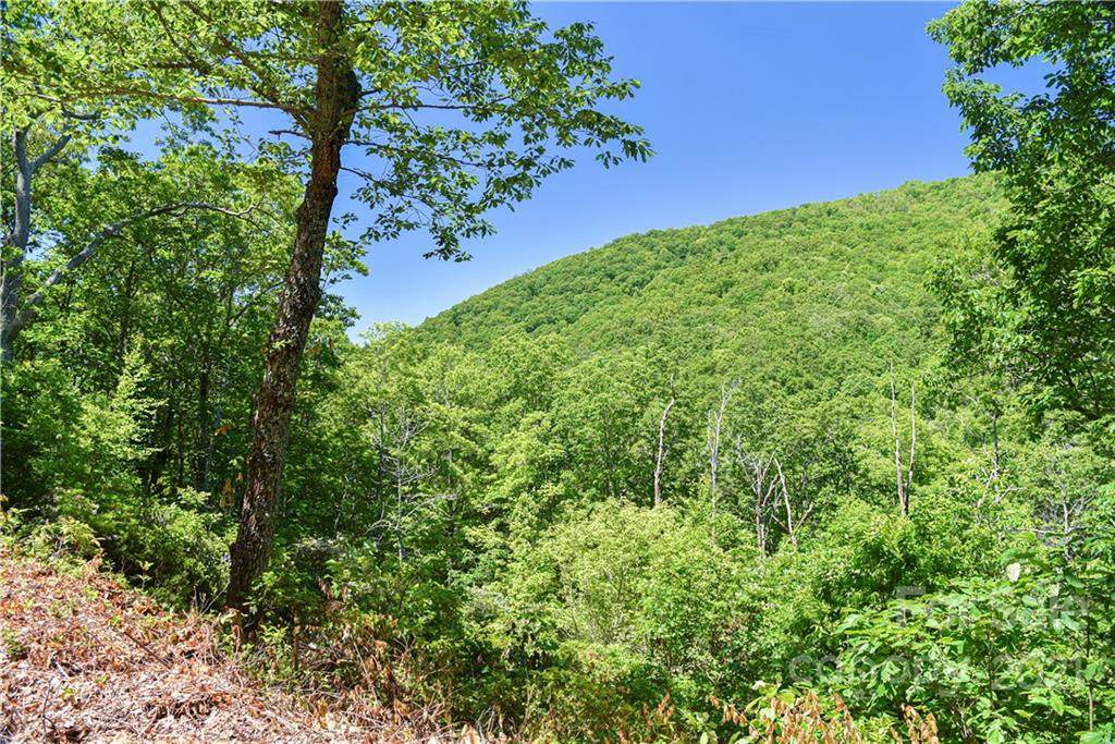 99999 Red Oak Forest Lane - Photo 1