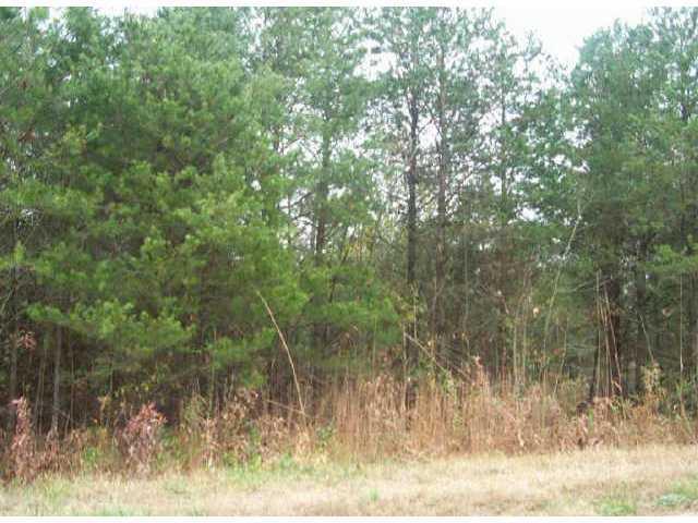 Lot 2 Petes Road - Photo 1