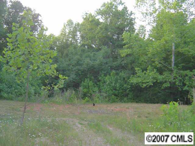 0 Peaceful Lane - Photo 1