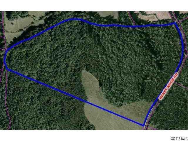 0000 Henry Knob Road - Photo 1