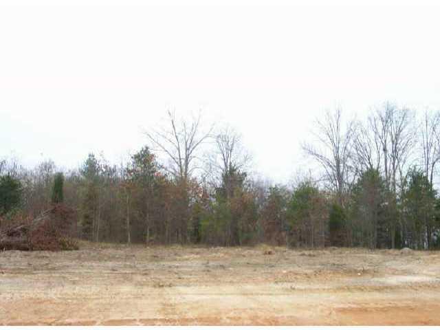 Lot 7 Petes Road - Photo 1