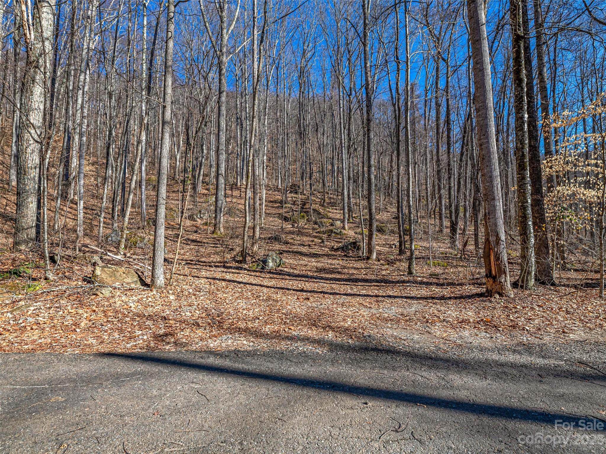 00 Countryside Estates - Photo 1