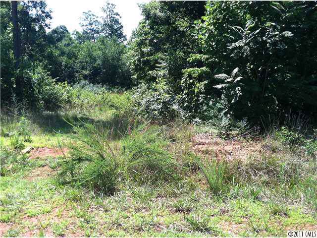 111 Houpe Ridge Lane - Photo 1