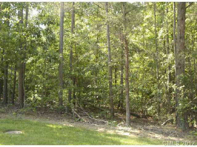 Lot 39 Bounty Court, Matthews, NC 28104 (#2089470) :: High Performance Real Estate Advisors
