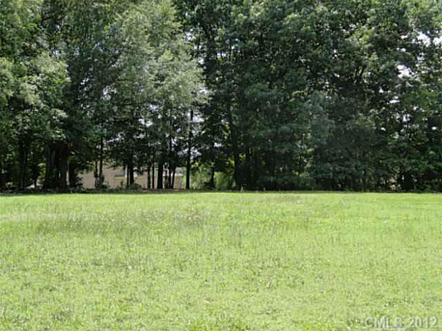 1400 Venetian Way Drive, Waxhaw, NC 28173 (#2095928) :: High Performance Real Estate Advisors